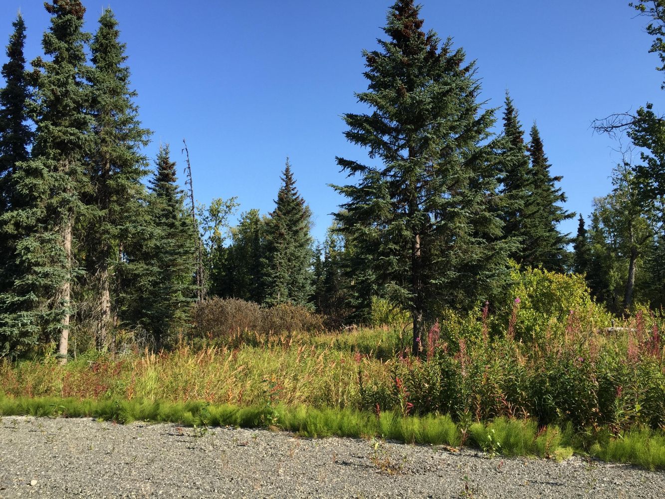 63787 Oil Well Rd, Ninilchik, AK 99639